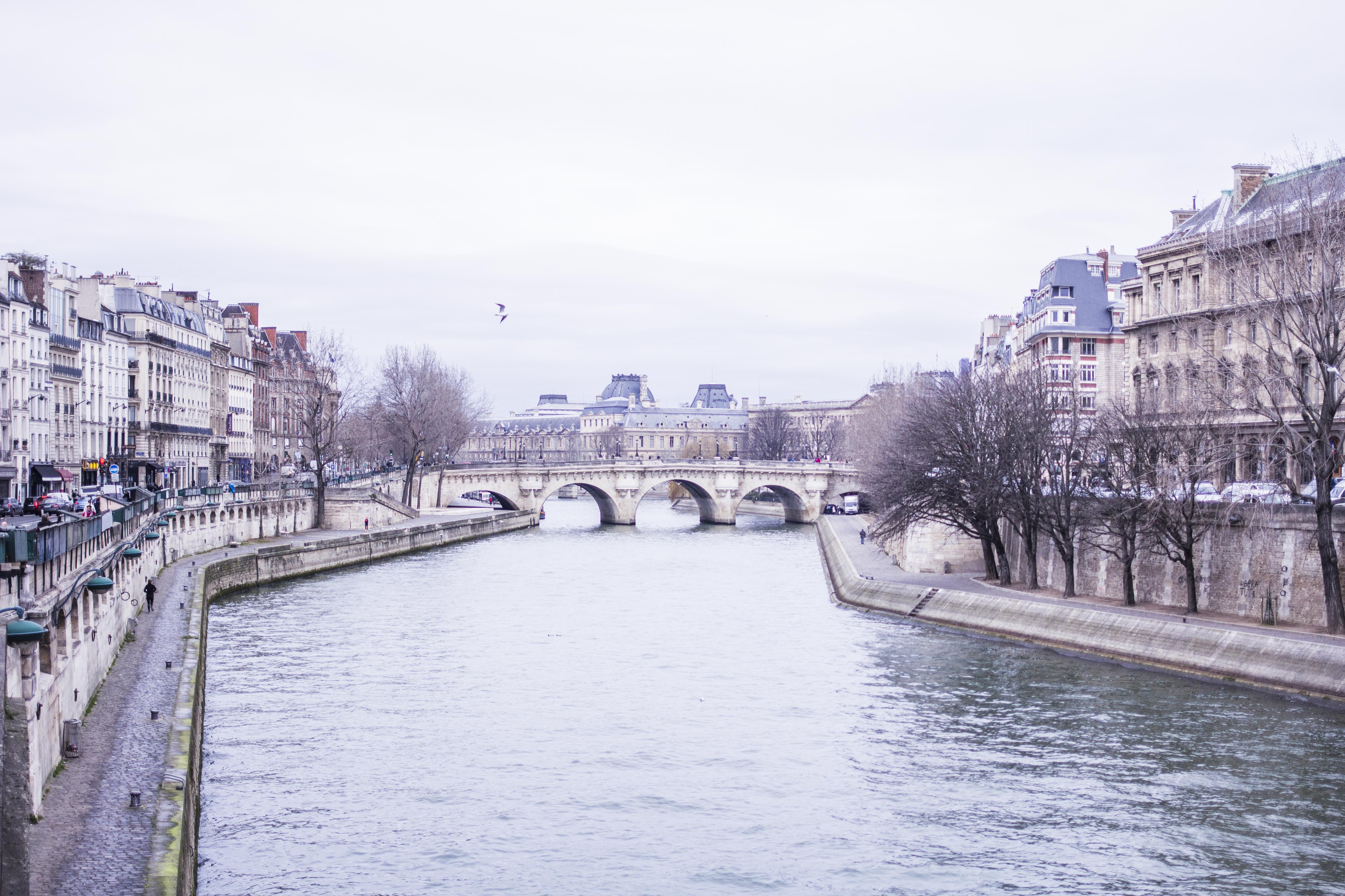 Parisian winter walk