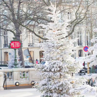 WinterWonderLand Champs Elysees